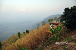 Landscape from Nilgiri