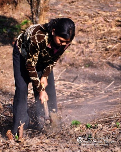 Tribal girl working