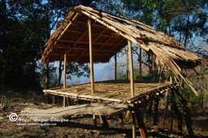 Tribal architecture from Bwam village