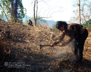 Tribal girls working