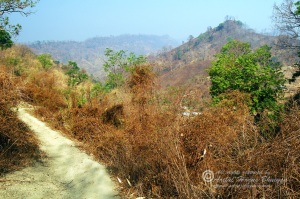 Way to Marma Village