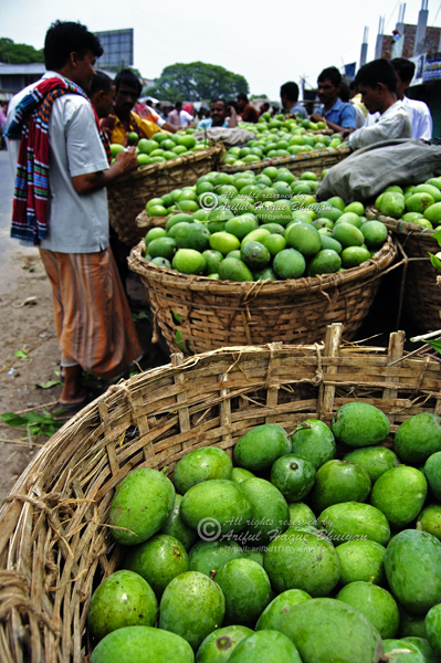Mango traders