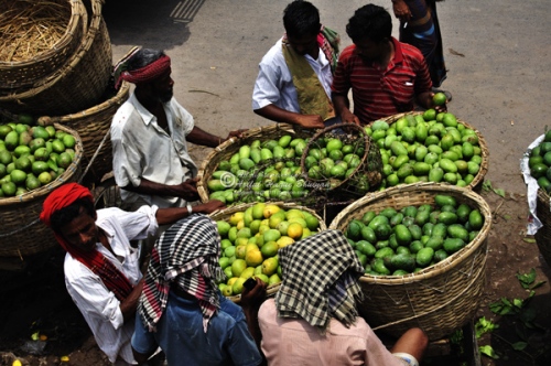 Mango traders 