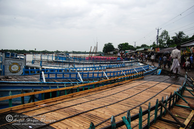 Boats at Saheb Bari ghat